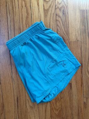 ibex Athletic Running Shorts Teal Green